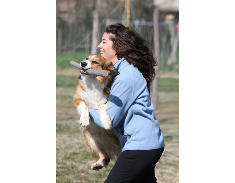 Lorem ipsum dolor sit